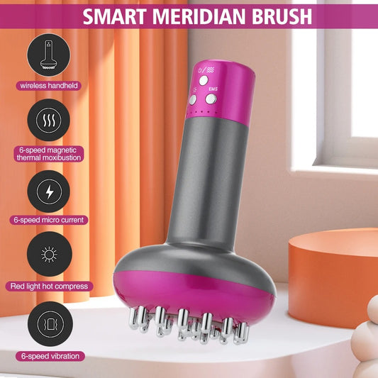 Meridian Brush Massager