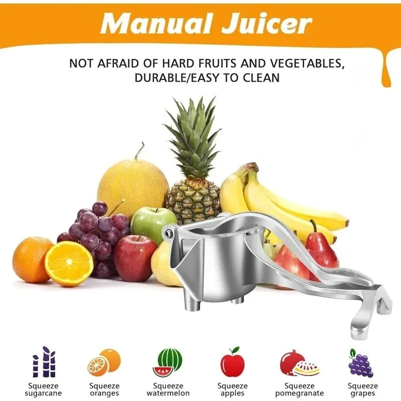 Manual fruit press