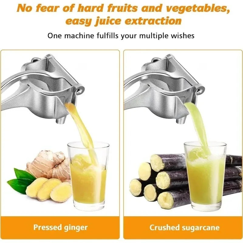 Manual fruit press