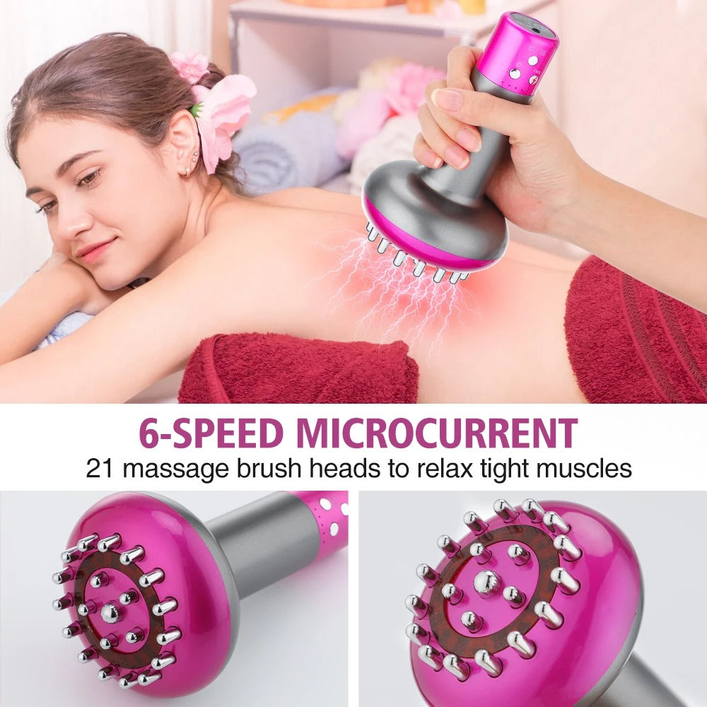 Meridian Brush Massager