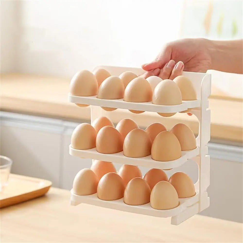 Folding Egg Box